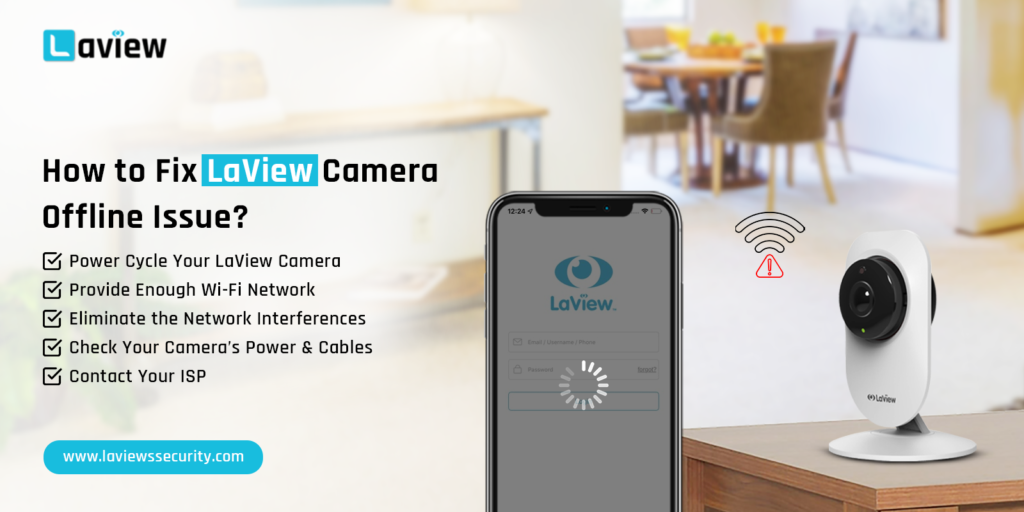 LaView Camera Offline